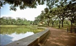 Miramar Gardens (D19), Terrace #573899881